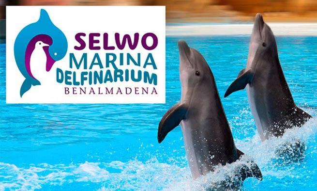 Trebol Apartamentos Benalmadena アロヨ・デ・ラ・ミエル エクステリア 写真